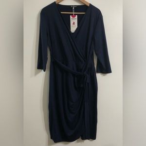 Berry Dress women’s dress V-neck side zip up raffle long sleeves blue. L